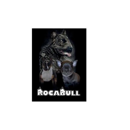 Logo from Rocabull Criadero de Bullterrier y Chihuahua