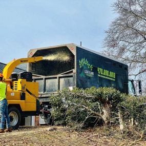 Bild von Leaf & Limb Tree Services