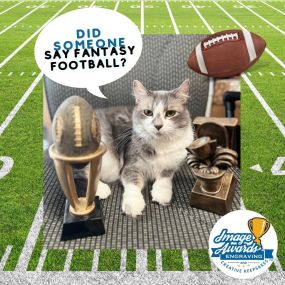 ✨Now is the time to start getting those Fantasy Football orders in! Image Awards, Engraving & Creative Keepsakes, Inc. is the ✨ULTIMATE✨ destination for making custom fantasy football trophies since 1994!