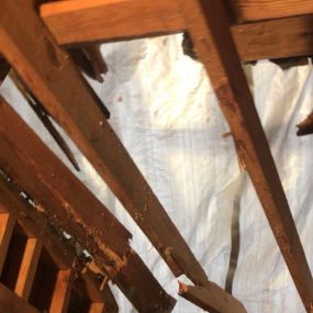 Water Damaged Truss Restoration Marietta GA