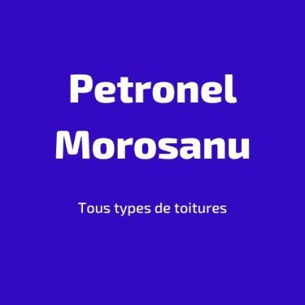 Logo von Morosanu Petronel