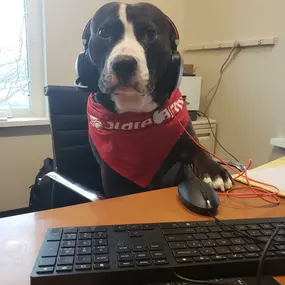 Griffin is ready to take your call