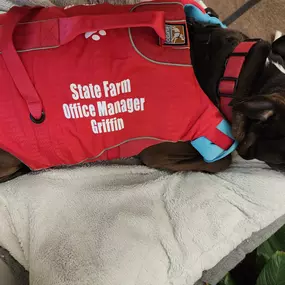 Our boating pro, Griffin, is here to teach us how to have a safe time out on the water! Most importantly, an SF life jacket is a must-have! Before hitting the water, you should also make sure your boat is properly covered! From sailboats and jet skis to kayaks and many more, we're here to help!