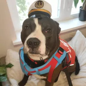 Call me today for your free boat insurance quote!