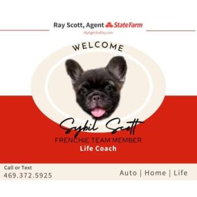 Ray Scott - State Farm Insurance Agent