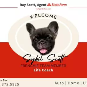 Ray Scott - State Farm Insurance Agent