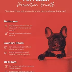 ???????? Pet safety starts at home! ????????
Common household items can be dangerous for our furry friends. Take a moment to check each room and make sure your pet stays safe from harmful products! 
What’s one pet-proofing tip you swear by?