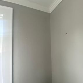 Full Wall Painters New Haven