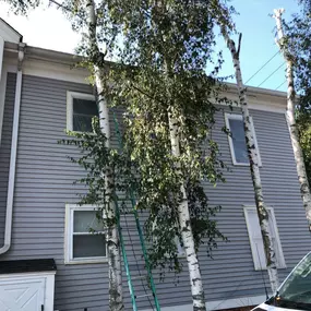 exterior condo painting in new haven