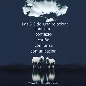 230754228-1-qSFi13wsLN1665682470306.jpeg