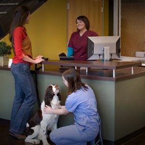 Bild von South Asheville Veterinary Emergency & Specialty