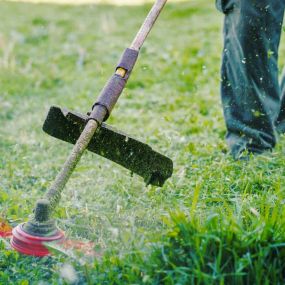 Weed Control