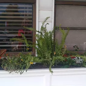 Spring is a time for new beginnings and growth—just like the plans you put in place for your loved ones. Just as a well-tended garden provides for the seasons ahead, the right coverage can help provide security for those who matter most. Call our Hudson office to learn more.