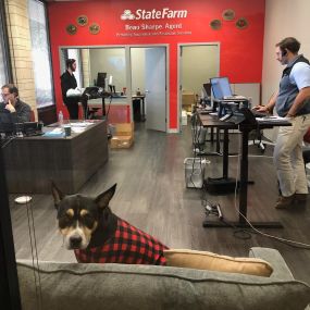 Beau Sharpe - State Farm Insurance Agent