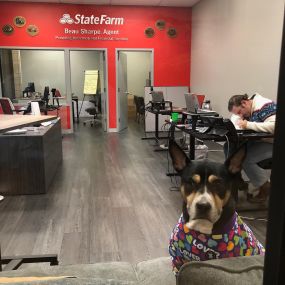 Beau Sharpe - State Farm Insurance Agent