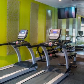 Cardio Machines In Gymat The Aster Sugar Land Apartments