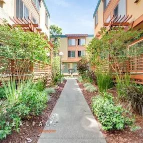 Green shrubbery around apartments