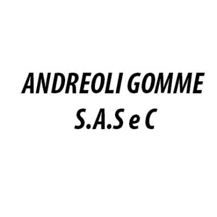 Logo van Andreoli Gomme SaS e C