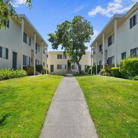 Green grass next to walkway