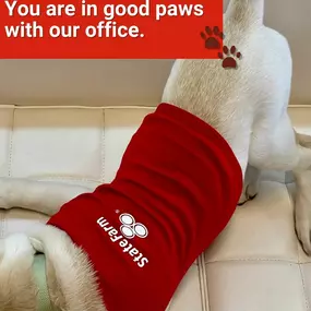 Make sure you're insurance is pawtastic! Come get a free quote!