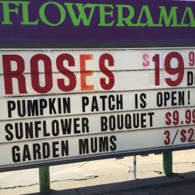 Lots going on today! Our pumpkin patch is open!  Need Homecoming flowers? We’ve got those too!
Call or stop in! 515-289-8304