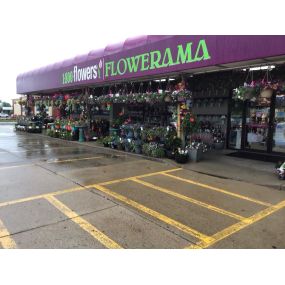 Our garden center looks so beautiful!
Rain or shine, your Ankeny Flowerama is here to help you beautify your yard!