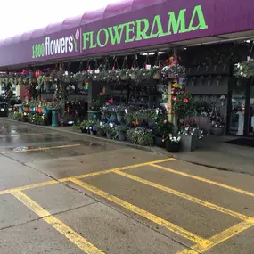 Our garden center looks so beautiful!
Rain or shine, your Ankeny Flowerama is here to help you beautify your yard!