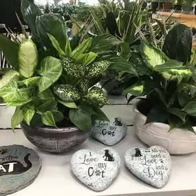 Escape the ???? Stop in and check out our plant selection????