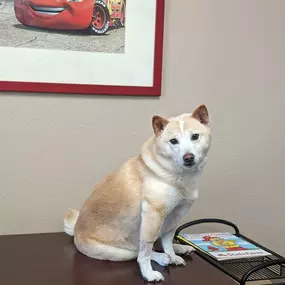 We had an adorable helper in the office today!