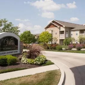 Expertly designed lush landscaping surrounds you as you drive into Villas at Carrington Square Apartments