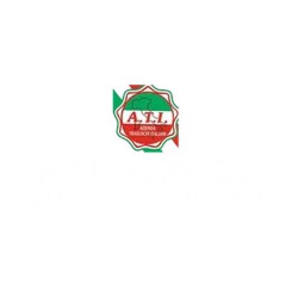 Logo de A.T.I. Service Traslochi
