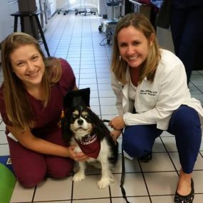 Bild von Virginia Veterinary Centers - Richmond