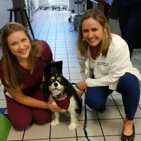 Bild von Virginia Veterinary Centers - Richmond