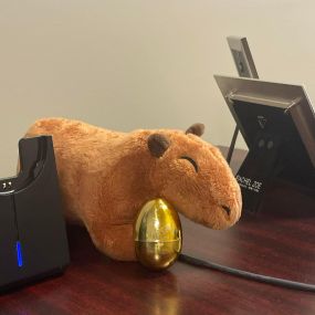 Our office mascot Garth has found a golden egg!