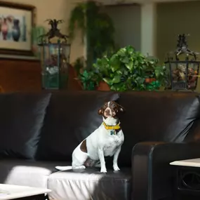 Don't leave your pet behind! Our pet-friendly suites are located on the lower floors of our hotel and will keep you and your pet comfortable and relaxed during your stay.