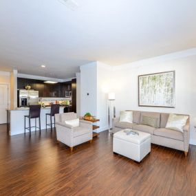 Wood Floor Living Room and Open Kitchen