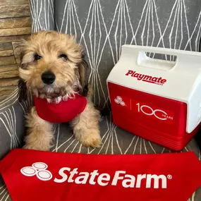 Abby Pubusky - State Farm Insurance Agent