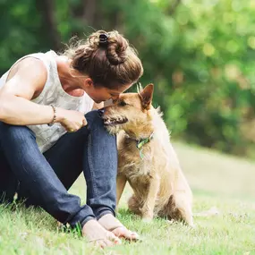 Pet-friendly apartments at Camden Village District in Raleigh, NC