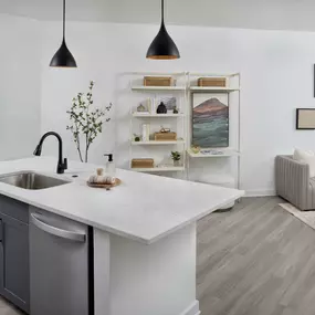 Single-Basin, Undermount Sinks with Pull-Down Sprayer Faucets in a Matte Black Finish