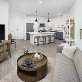 camden village district apartments raleigh nc one bedroom livingroom on-looking kitchen