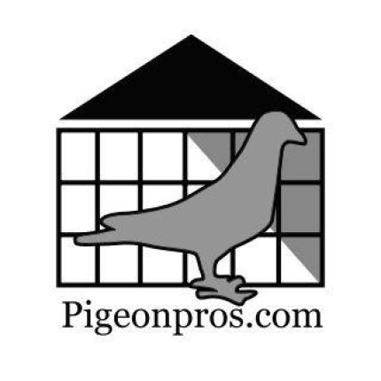 Logo da Pigeon Pros