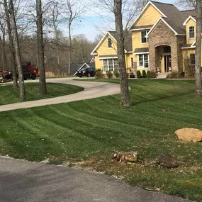 Lawn Maintenance