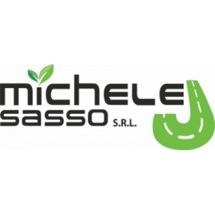 Logo da Michele Sasso