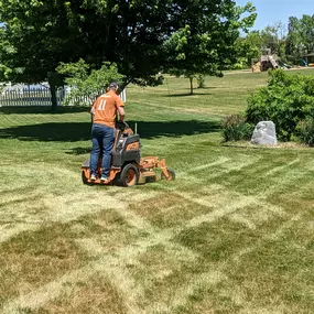 Lawn Care