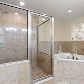 Soaker Tub and Enclosed Shower