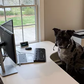 Happy National Pet Day! Show your pet some extra love today—get a free quote from our team and see how we can help you care for what matters most.