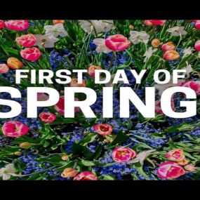 Happy First Day of Spring! ????