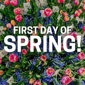 Happy First Day of Spring! ????