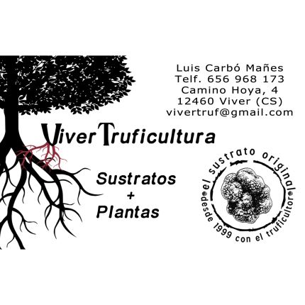 Logo da Viver Truficultura