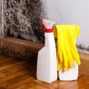 We are your odor removal experts!